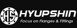 Hyupshin Flanges & Fittings